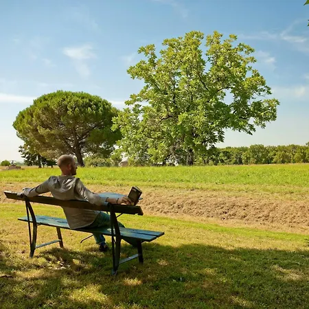 Renovated Dovecote Near The Of Albi בית נופש Marssac-sur-Tarn