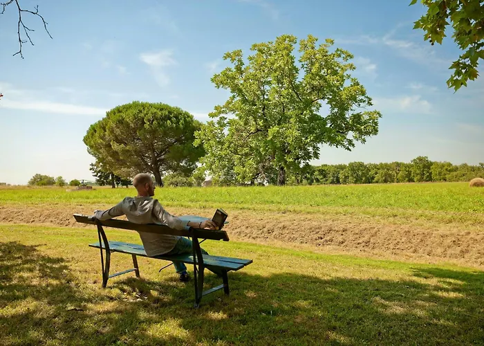 Renovated Dovecote Near The Of Albi Tatil Evi Marssac-sur-Tarn